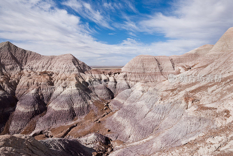 Blue Mesa的Badlands Formation